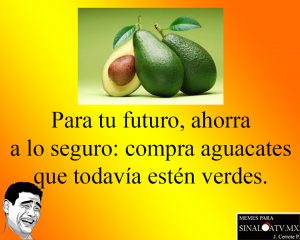 aguacates